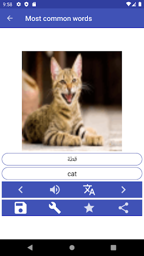 Android application Learn Persian Words & Phrases screenshort