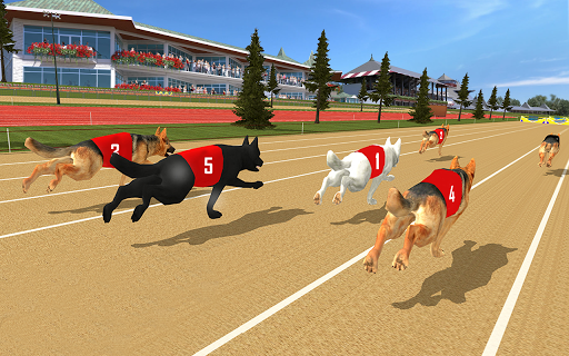 Dog real Racing  Derby Tournament simulator
