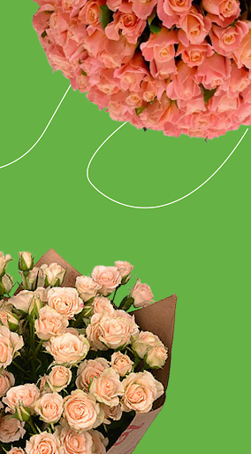 Flowers.ua - flowers delivery Screen 2