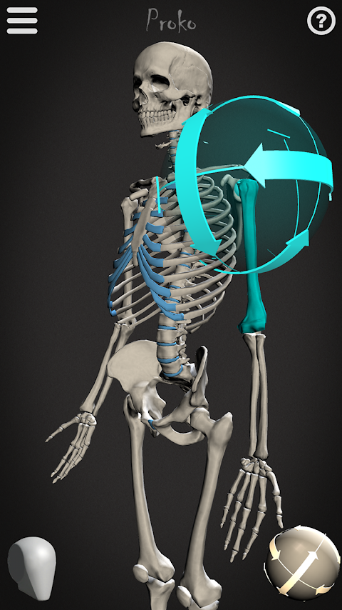 Skelly: Poseable Anatomy Modelのおすすめ画像1