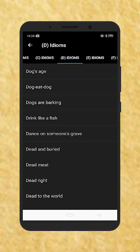 Idioms & Phrases in English Screen 3
