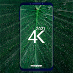 Cover Image of Download Full HD - 4K Wallpaper 2021 1.1.0 APK