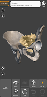 3D Anatomy for the Artist Screenshot