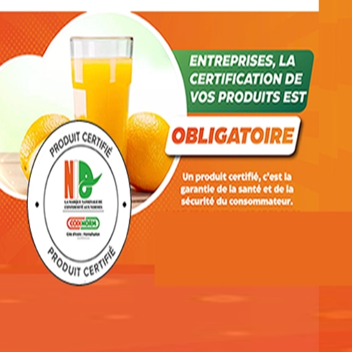 PEC CI codinorm logo