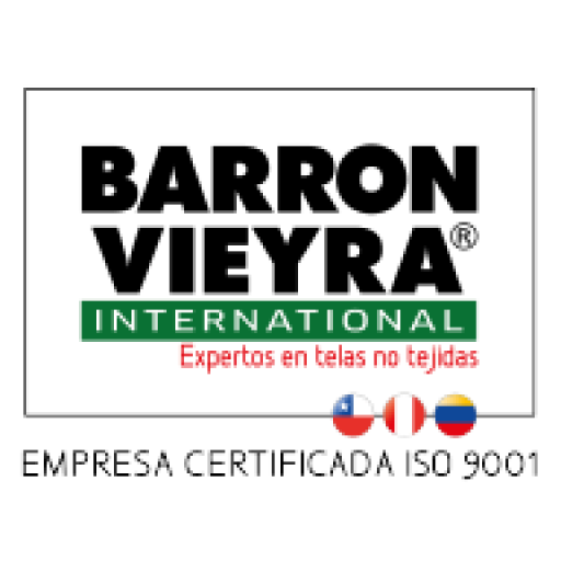 Capacitación bvi logo