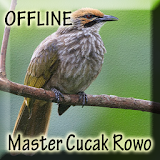 Kicau Burung Cucak Rowo Offline icon