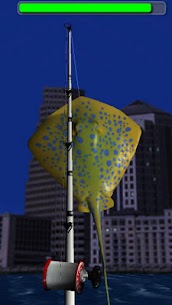 Big Night Fishing 3D Lite For PC installation