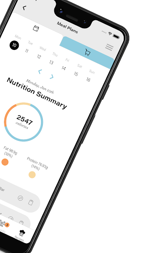 Screenshot of Complement Well