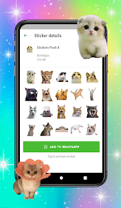 Stiker Kucing WhatsApp