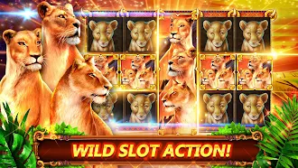 Game screenshot Great Cat Slots Online Casino hack