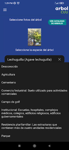 Arbol CUU Screen 2