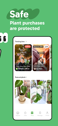 Palmstreet - Buy Plants Live Screen 2