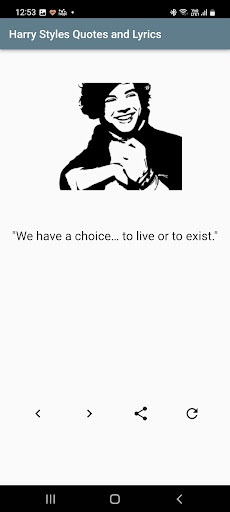 Harry Styles Quotes and Lyrics Screen 3