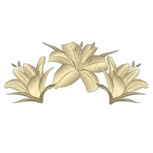 Lilies N Grace Boutique Apps on Google Play