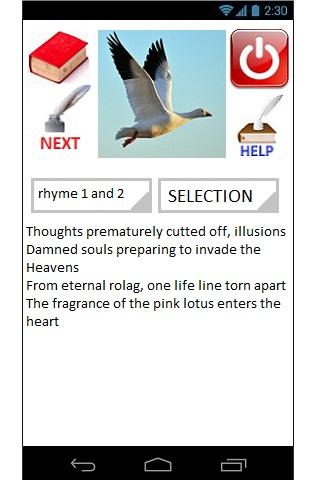 Algorithmic Poetry Screen 2