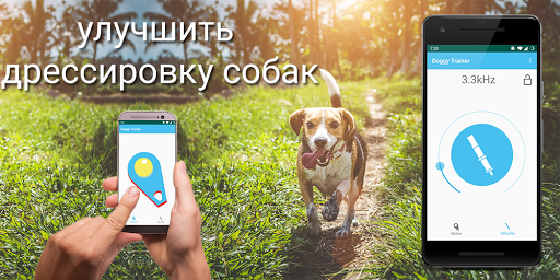 Предварительный просмотр приложения