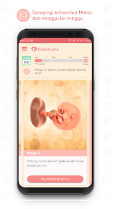 Hallobumil: Aplikasi Kehamilan