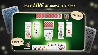Game screenshot Canasta Palace - Cards and Fun mod apk