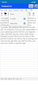 Screenshot image