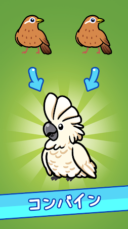 Game screenshot 放置鳥の遊び場 mod apk