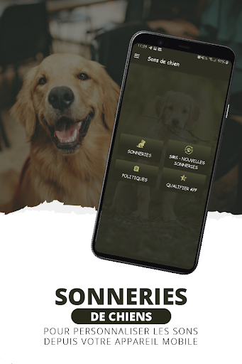 Aperçu de l'application