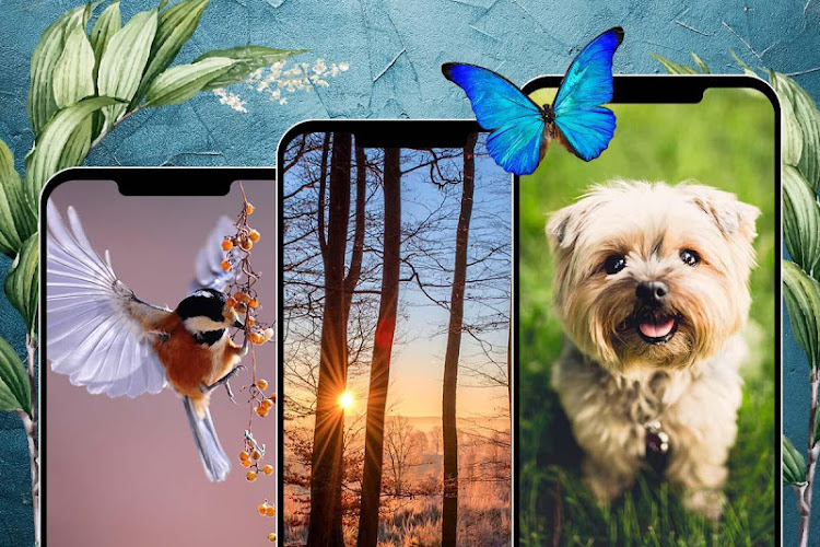 Nature Wallpapers HD Backgroun - 1.0 - (Android)