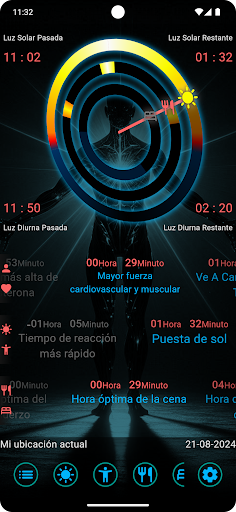 Vista previa de la aplicación