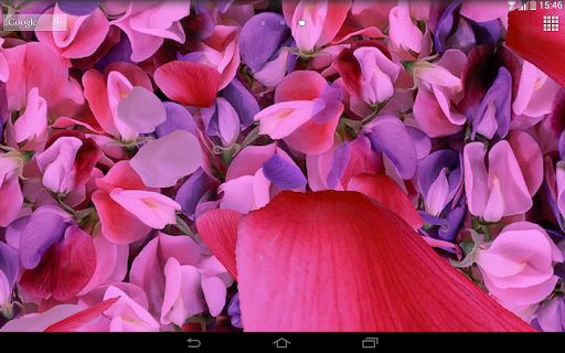 Petals 3D live wallpaper