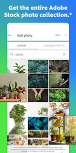 Adobe Spark Post 5