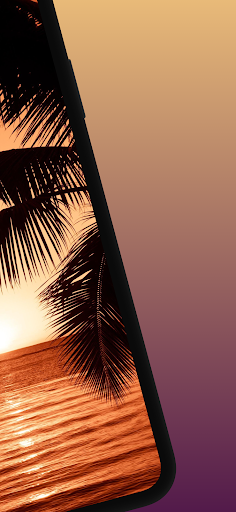 Awesome Tropical Wallpapers