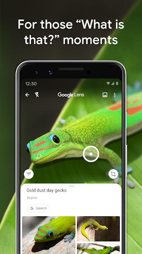 Google Lens vai pesquisar quaisquer imagens e vídeos presentes na