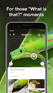 Google Lens Screenshot