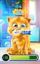 Talking Ginger Applications Sur Google Play