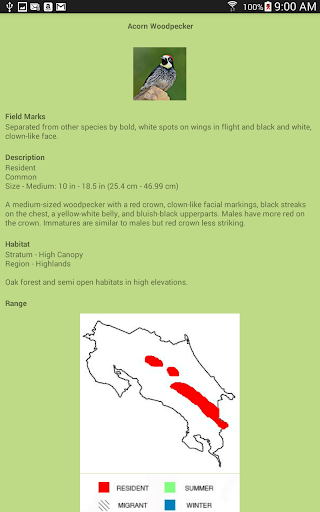 Costa Rica Birds FGuide Basic