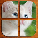 Cats jigsaw puzzles (FREE) icon