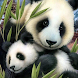 Panda Wallpapers - Live and Cartoon - Androidアプリ
