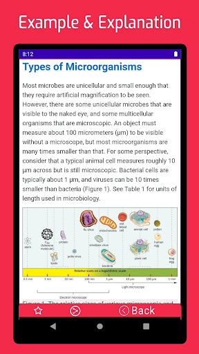 Microbiology Screen 3