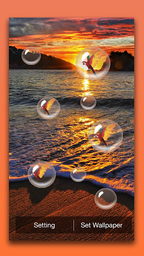Sunset Live Wallpaper Screen 2