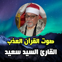 الشيخ سيد سعيد القران الكريم 