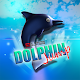 Dolphin Jump Free