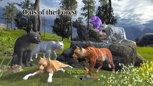 Cats of the Forest