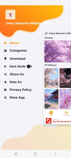 cherry blosso wallpape offline