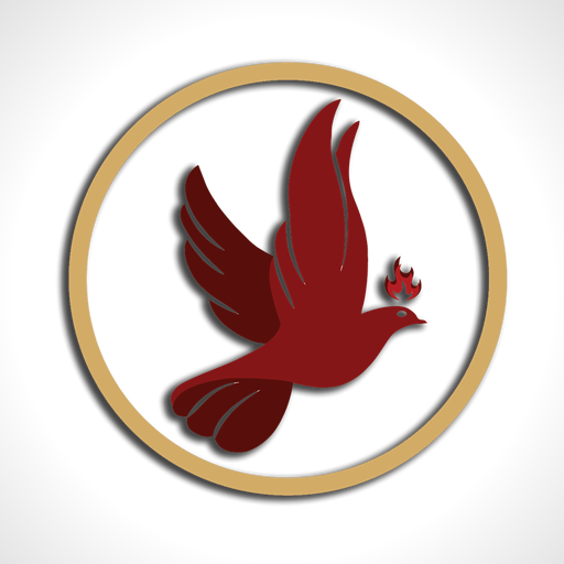 IAMVN - Vida Nova logo