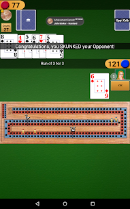 Cribbage Pro For PC installation