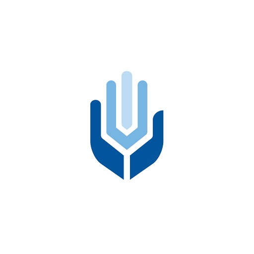BLI Móvil logo