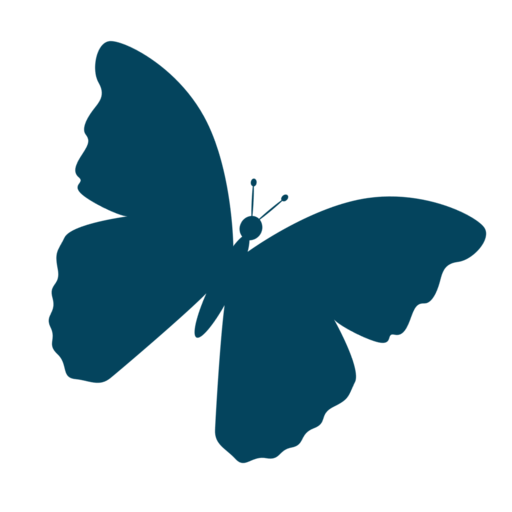 PiFly logo