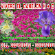 Vivero el Canelon विंडोज़ पर डाउनलोड करें