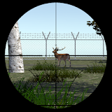 VR Deer Hunting icon