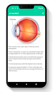 Anatomia do Olho Humano