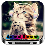 Animal Funny Ringtone icon